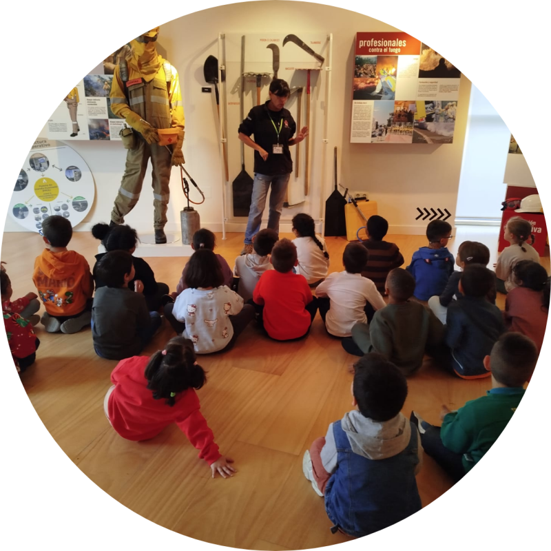 actividades-grupos-organizados